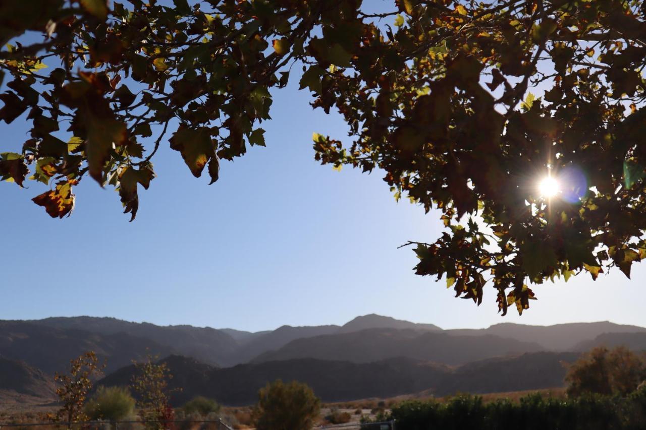 Oasis Inn And Suites 29 Palms Hotel Joshua Tree National Park 二十九棕榈村 外观 照片