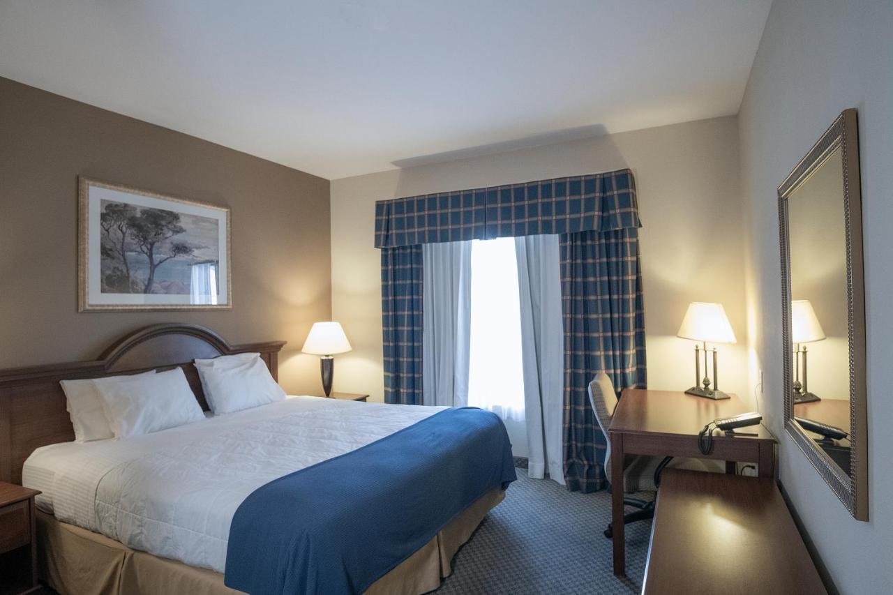 Oasis Inn And Suites 29 Palms Hotel Joshua Tree National Park 二十九棕榈村 外观 照片
