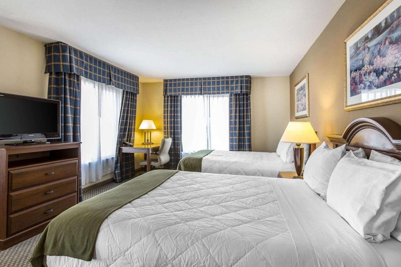 Oasis Inn And Suites 29 Palms Hotel Joshua Tree National Park 二十九棕榈村 外观 照片
